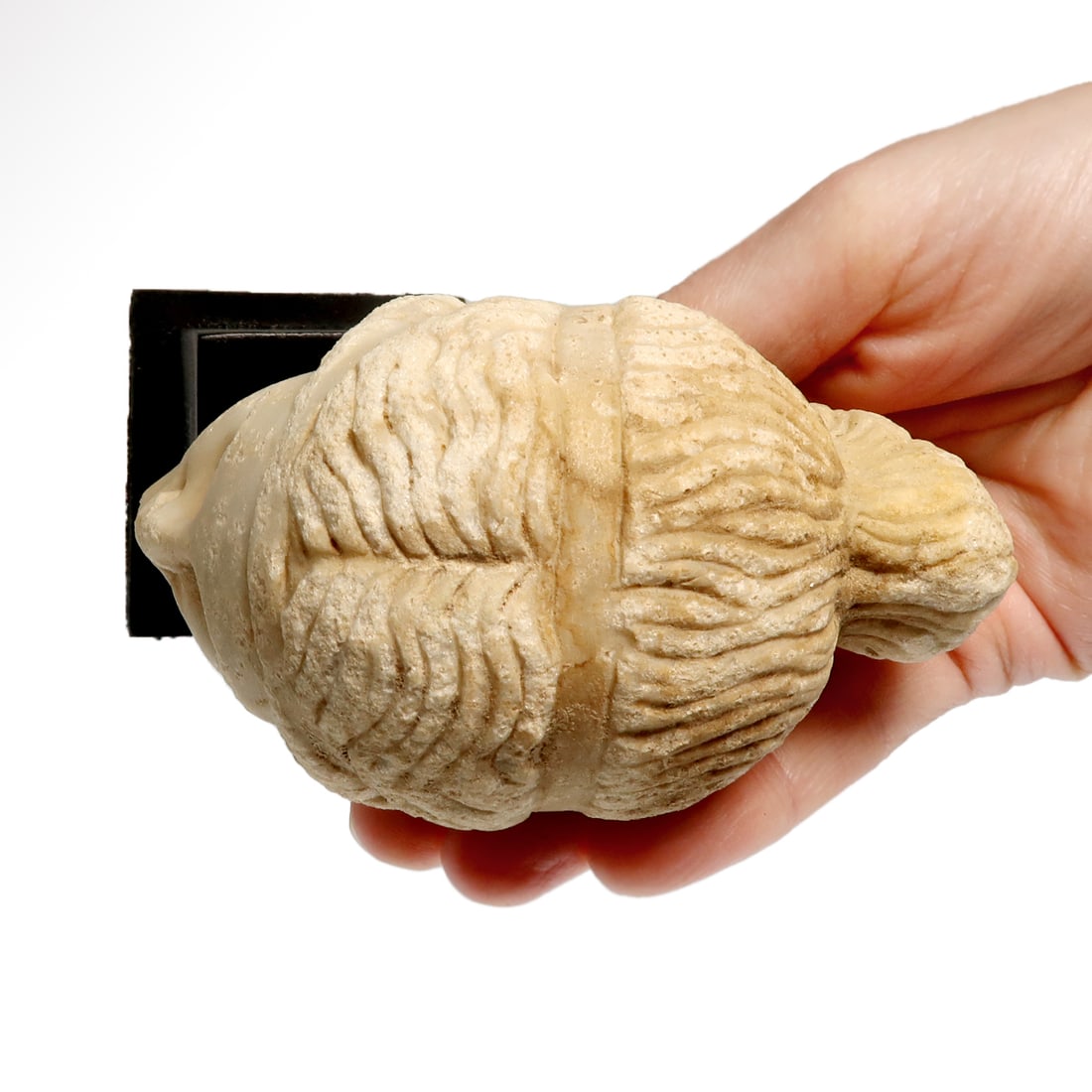Roman Marble Head of a Lady, c. 2nd-3rd Century A.D. - 7