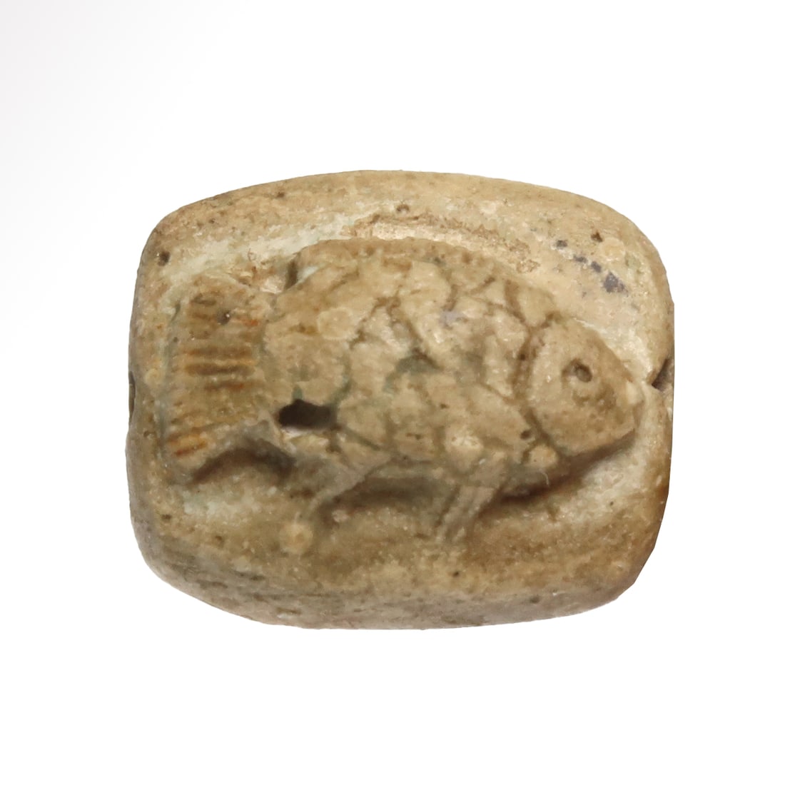 Egyptian Steatite Fish Amulet with Good Luck Hieroglyphs, c. 664-332 B.C. (1 of 6)