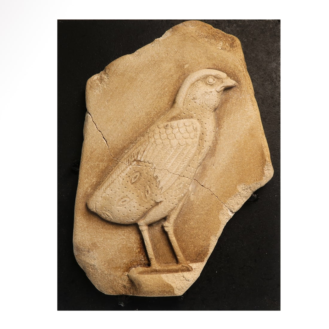 Egyptian Limestone High-Relief with Chick, c. 1700 B.C. (1 of 5)