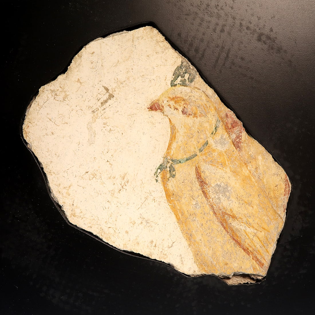 Roman Polychrome Fresco Fragment with Dove, c. 1st Century A.D.: Roman Polychrome Fresco Fragment with Dove, c. 1st Century A.D. Depicting a dove, the ochre body with details in red highlighting the wing and beak, wearing a green garland tied in a bow around the ne