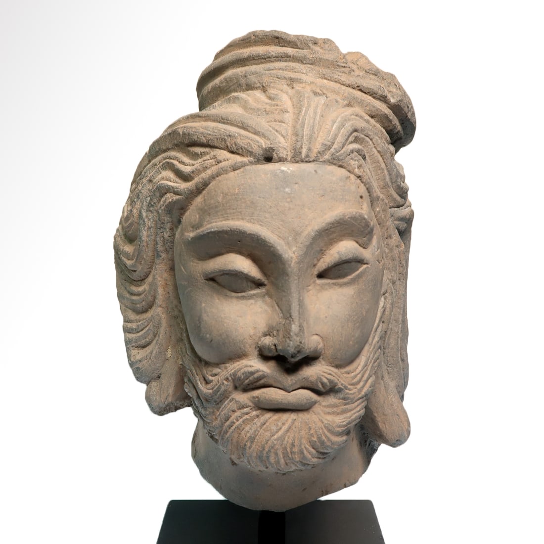 Gandhara Head of a Buddhist Ascetic Brahman, c. 2nd Century A.D. (1 of 7)