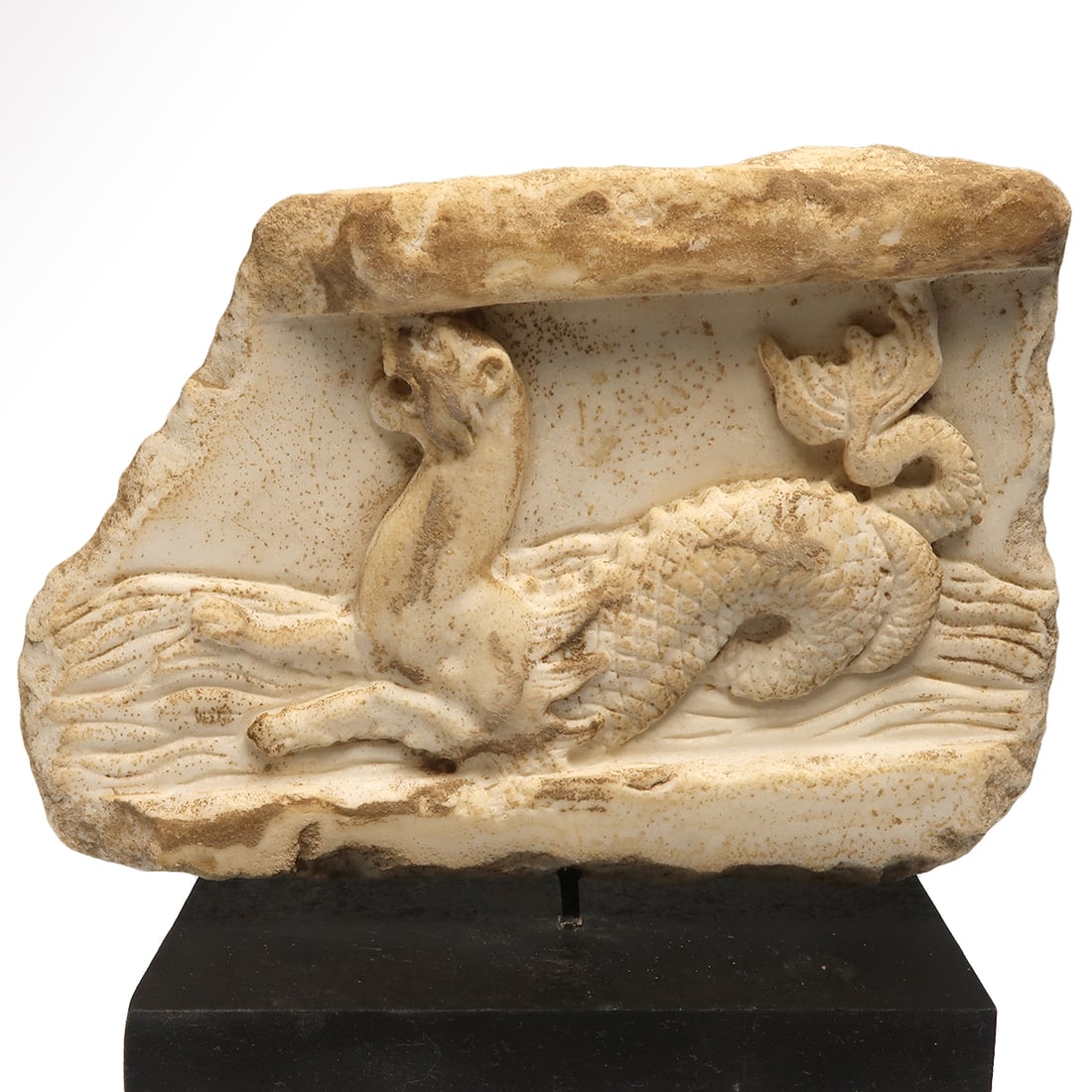 Roman Marble Architectural High Relief of a Sea Lion, c. 1st Century A.D. (1 of 6)