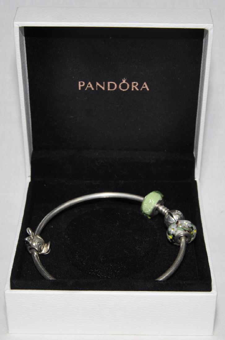 Pandora Bracelet With Three Charms (1 of 2)