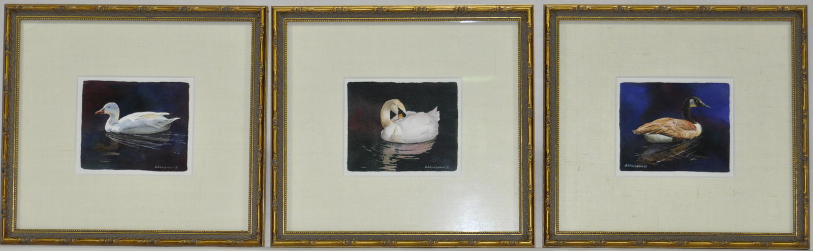 3) Adele Earnshaw Wildfowl Watercolors (1 of 5)