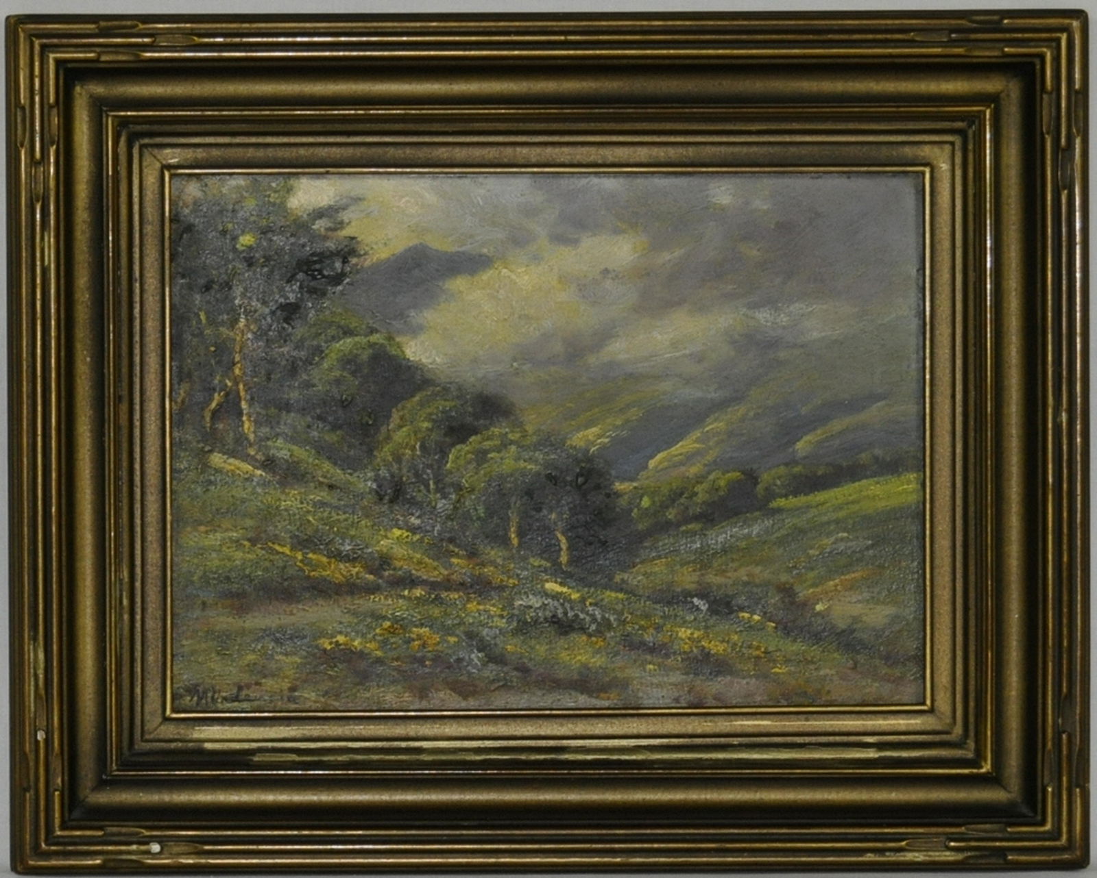 Manuel Valencia California Landscape (1 of 1)