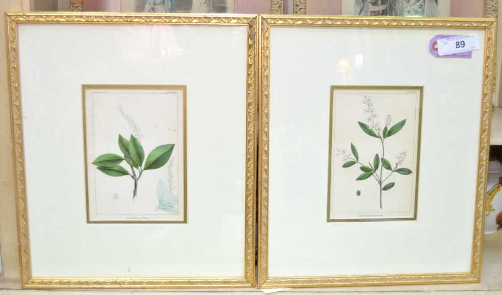 Pair of Antique Botanical Prints (1 of 2)