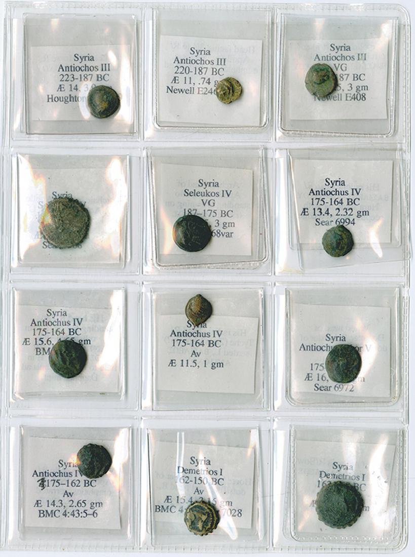 Syria, Group of 12, ca. 2nd Century BC. (1 of 1)