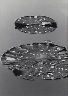 Mario De Biasi: Gocce d'acqua Silver baryta paper print. In ink on verso: 'Gocce d'acqua/ Mario de Biasi alla Solart Artivisive dal 30/5 al 23/6'. 14.7x10.5 cm