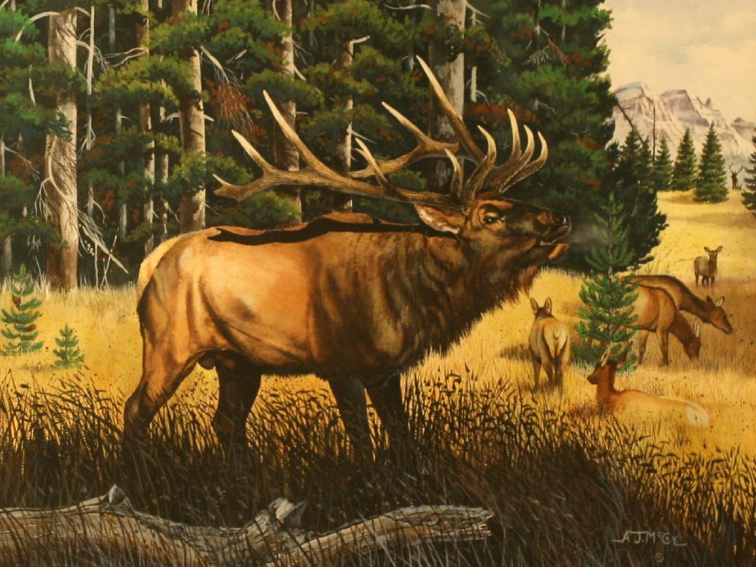 A.J. McCoy, Gouache, (1 of 3)