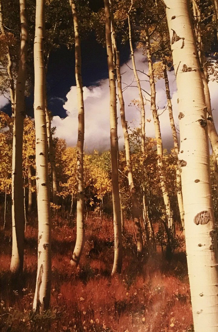 Danny Wood Limited Edition Print, (1 of 3)