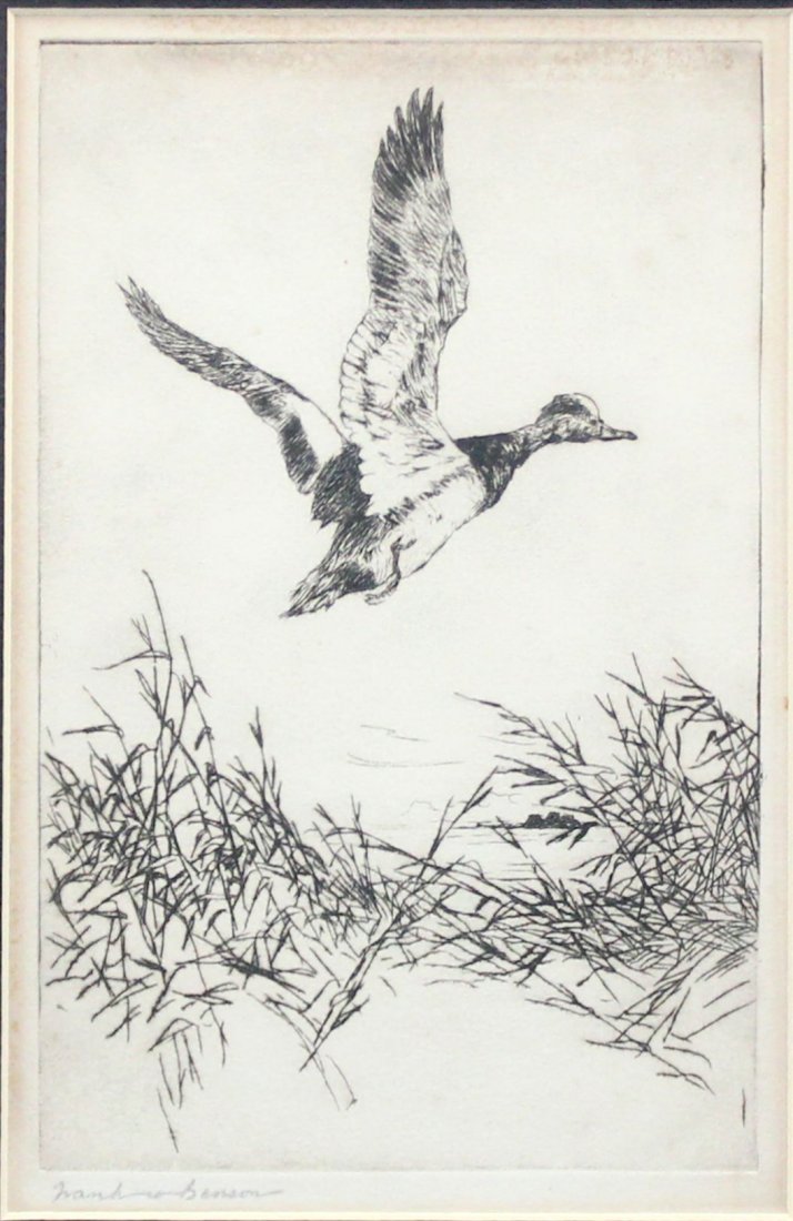 FRANK WESTON BENSON: American, 1862-1951, Widgeon Rising, Etching, from the ed. of 150, signed in the margin 8.5 x 5.5 in, 21.5 x 14 cm.