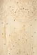 WHITE ON WHITE BEADED DRESS, 1920s - 8