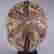 item-97096076=5