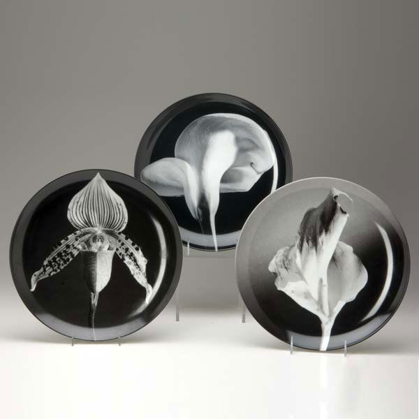 Robert Mapplethorpe (American, 1946-1989) Three w: Robert Mapplethorpe (American, 1946-1989) Three works: Calla Lily, 1984, Flowers, 1986, and Orchid, 1987, transfer on porcelain. Each stamped "Swid Powell, Robert Mapplethorpe", titled and dated. Each