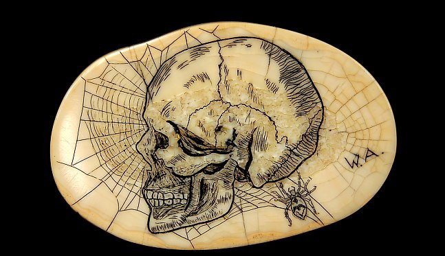 Ivory tusk scrimshawed with a skull and spider: Ivory tusk slice nicely scrimshawed with a skull, spider and spiderweb measuring 1.5" x 2.3"