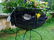 Pair of Victorian Wire Plant Baskets - 5