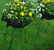 Pair of Victorian Wire Plant Baskets - 7
