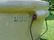 8 Gallon Red Wing Crock with Bail - 4