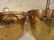 Brass Apple Butter Buckets, Pair - 4