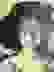 item-99292918=2
