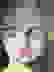 item-99292918=3