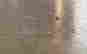 item-99293043=4
