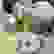 item-105835133=4