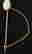 item-113648482=5