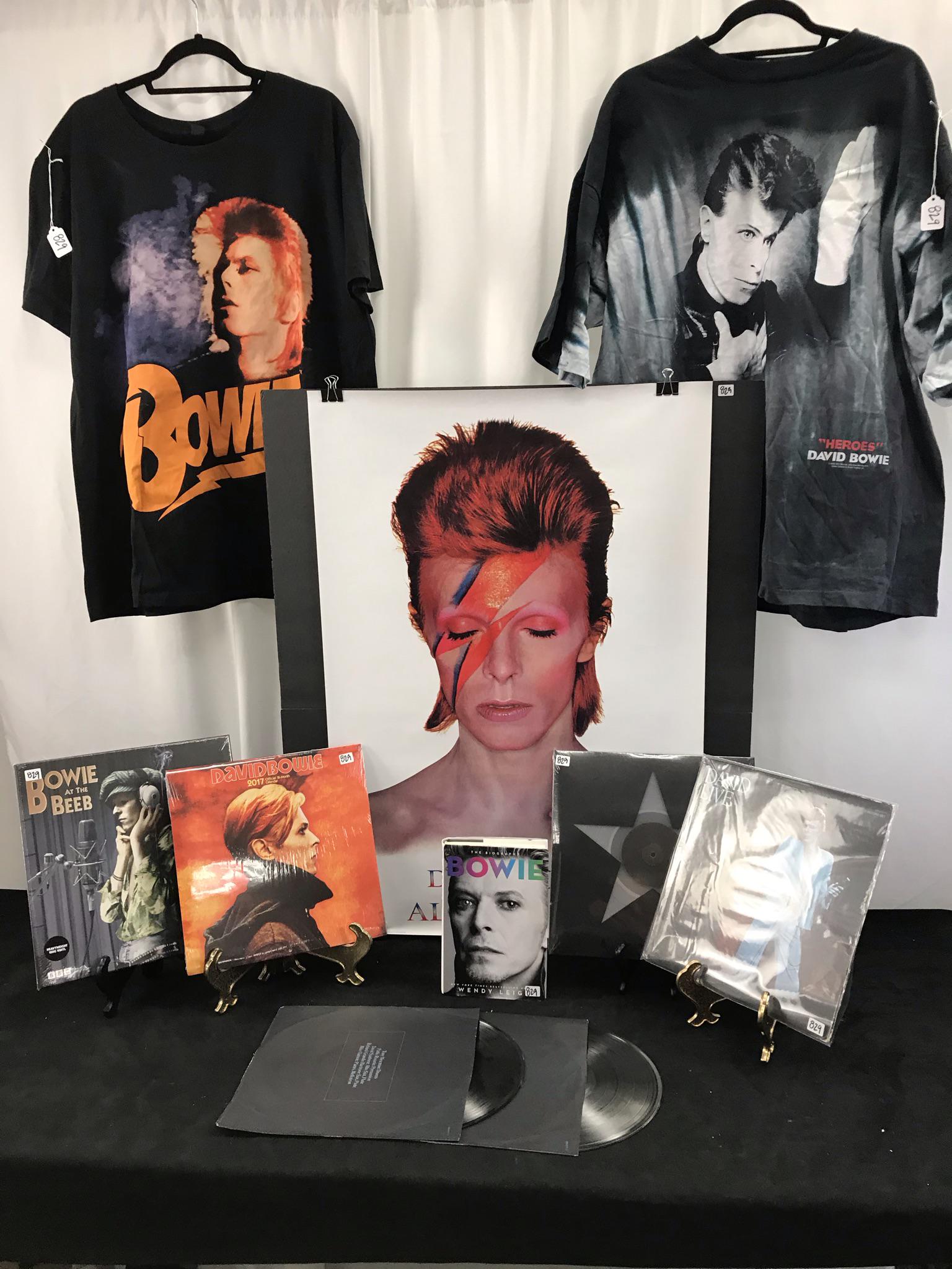 David Bowie Records, Book, and Poster: This Group of David Bowie Memorabilia includes an Aladdin Sane Poster (36" tall X 24" across), Bowie The Biography First Edition with photos by Wendy Leigh, 1974 Double Record Album David Live gatefol