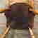 item-131328494=7