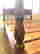 item-131328629=8