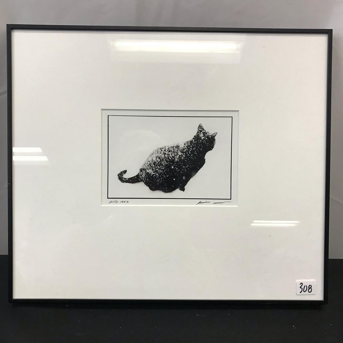 Alison Shaw Photograph of Cat In the Snow: This quality matted and framed black and white photograph is by listed Martha's Vinyard fine art photographer Alison Shaw. It is titled Willie 1993 and depicts a black cat covered in snowflakes in the
