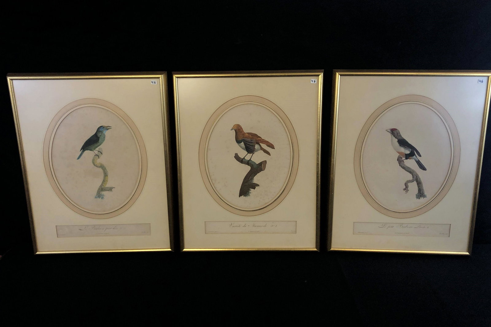 Set of 3 Bird Engravings from 1790s (1 of 10)