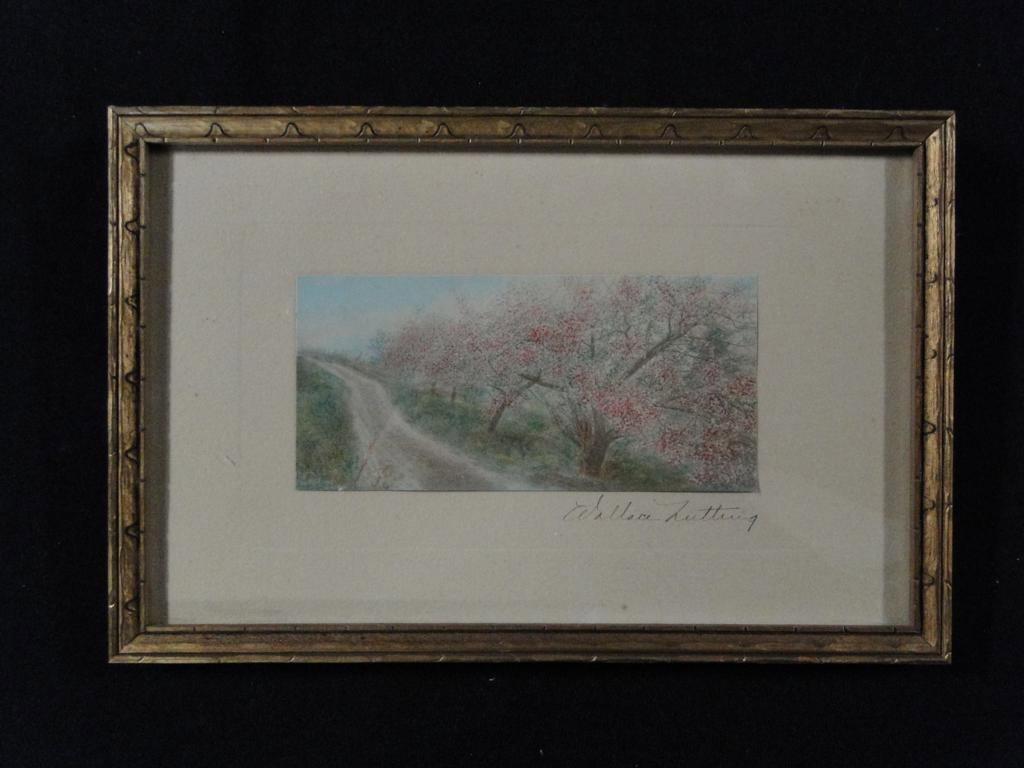 Rare original watercolor depicting apple blossom l: Rare original watercolor depicting apple blossom lane entitled love nothing July 1910 signed by Wallace Nutting