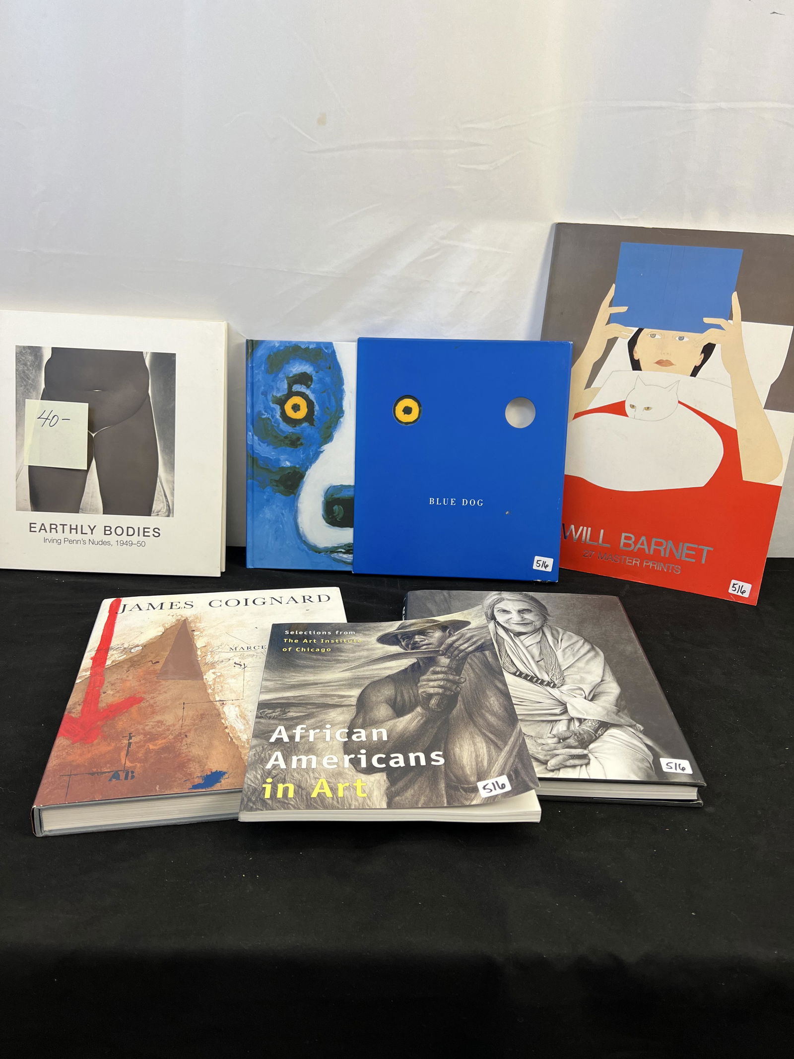Group of Art Books: This group of art books include a book on artist James Coignard, 1990, in an edition of 6000, by Marcelin Pleynet, printed in France, "Earthly Bodies Irving Penn's Nudes 1949-50"by Maria Morris Hambou