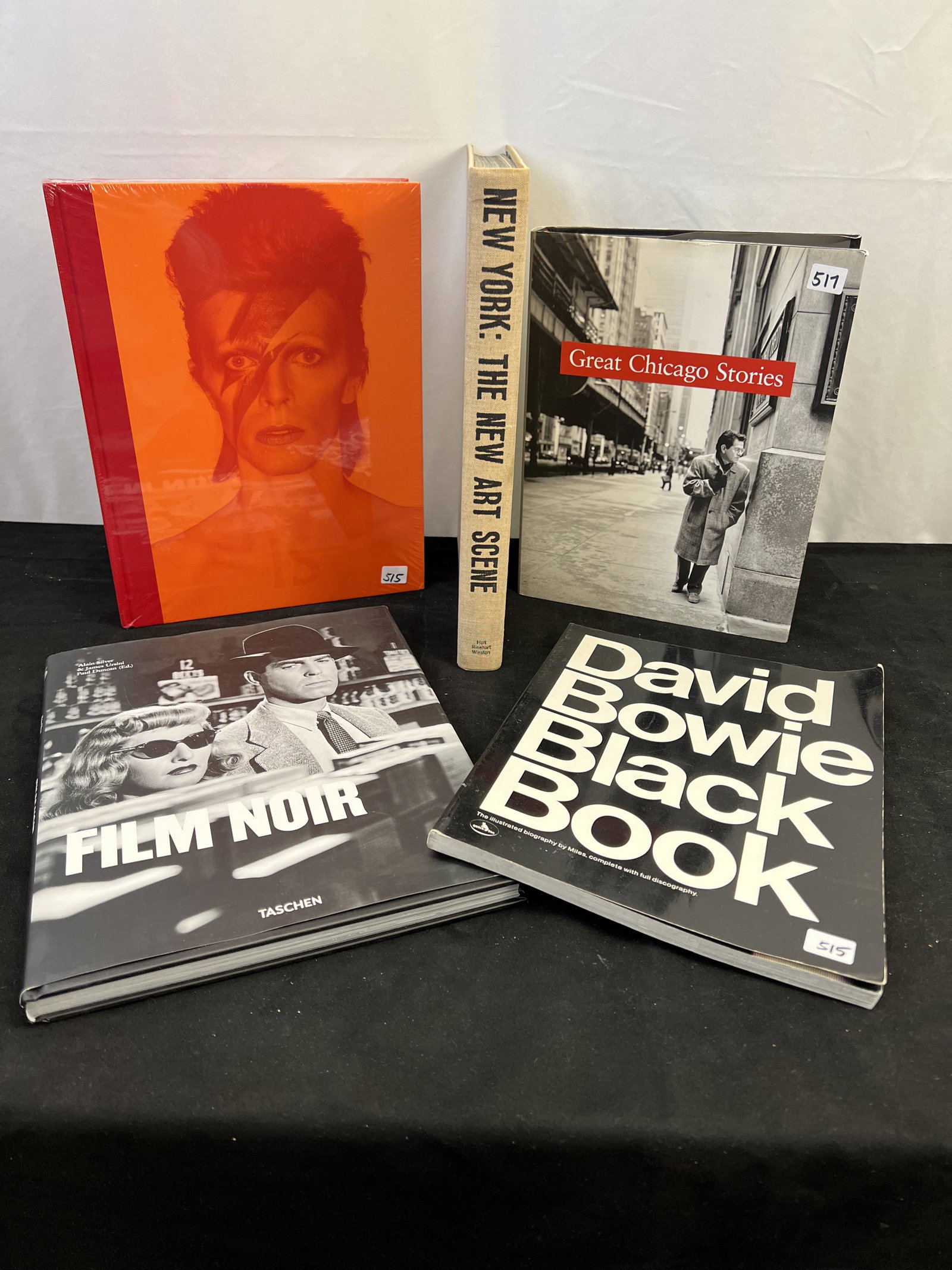 Photography, Art Books, Bowie, New York, Signed Great Chicago Stories (1 of 20)