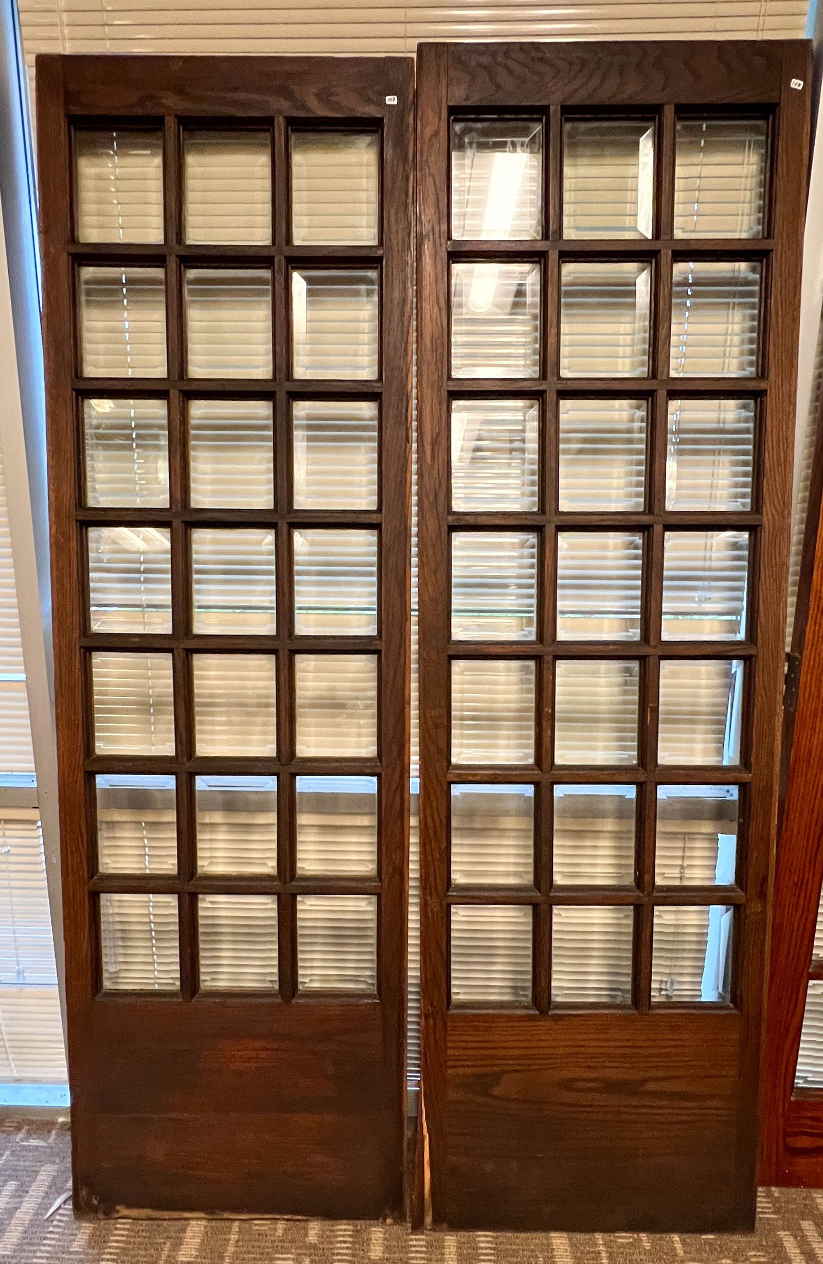 Pair of Arts and Crafts Bevelled Panelled Glass Doors (1 of 4)