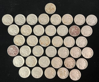 A Collection Of Buffalo Nickels Dating From 1920-1937