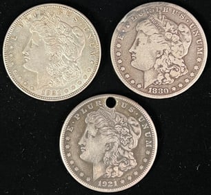 Group of 3 Morgan Silver Dollars