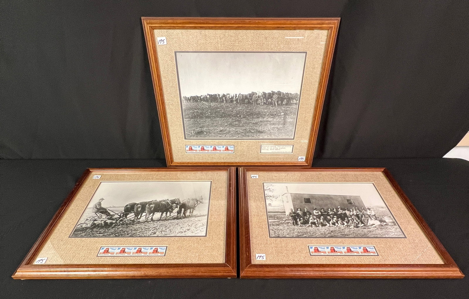 Three Custom Framed Farm Photos, with Postage Stamps, in Sterling, North Dakota, c1889: Three custom framed farm photos from scenes of farmland in Sterling, North Dakota, with USPS stamps c1889, with burlap matting detail. The first photo depicts a farmer tilling the soil, pulled by