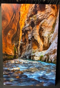 Neshama Roash Large Scale Photographic Print c2019, Mounted