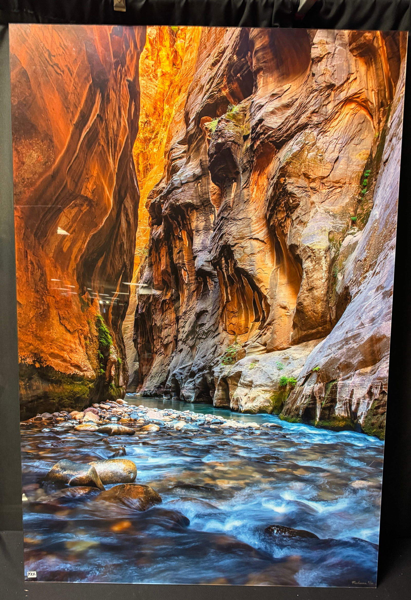 Neshama Roash Large Scale Photographic Print c2019, Mounted (1 of 7)