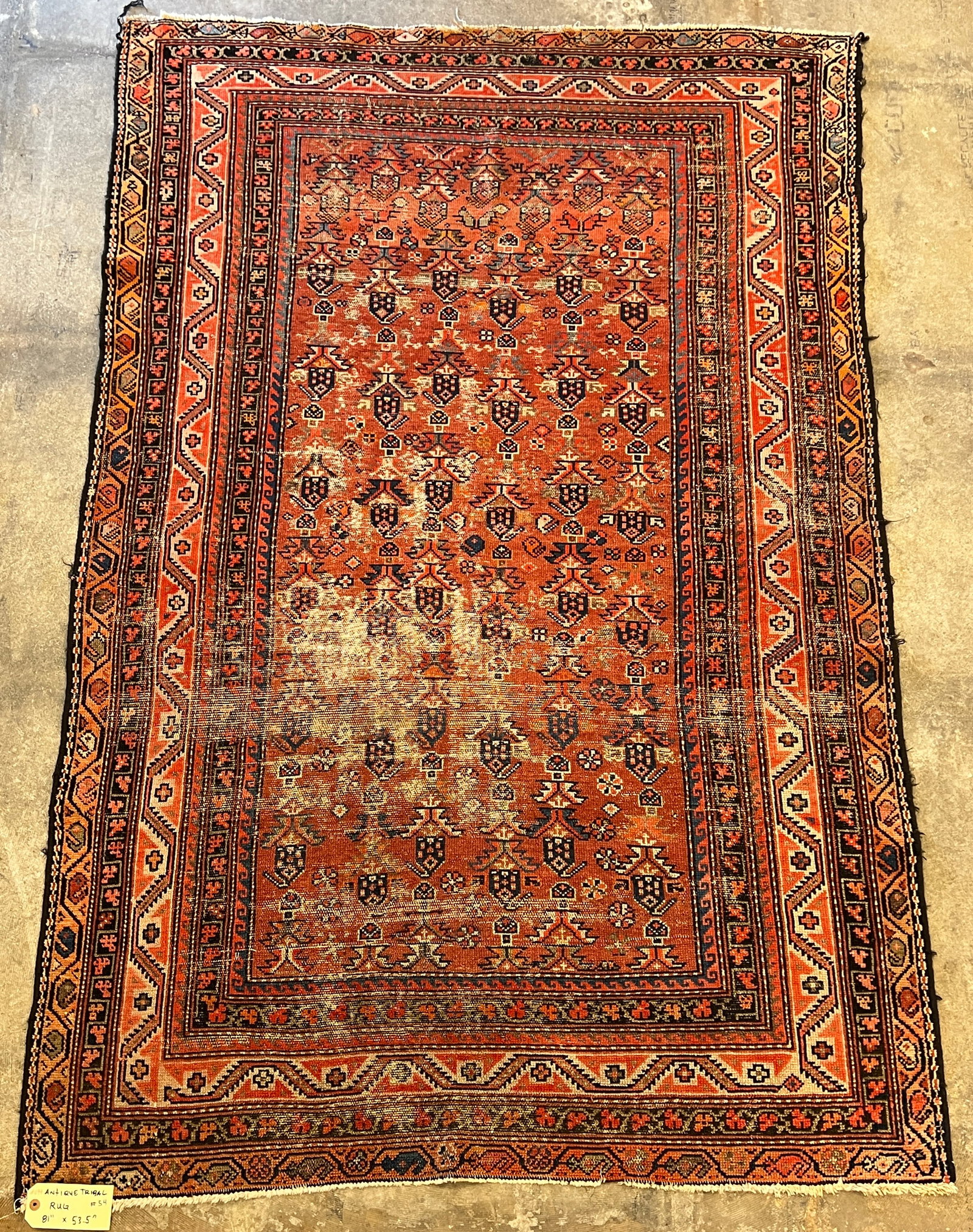 Antique Hand-Tied Tribal Rug (1 of 5)