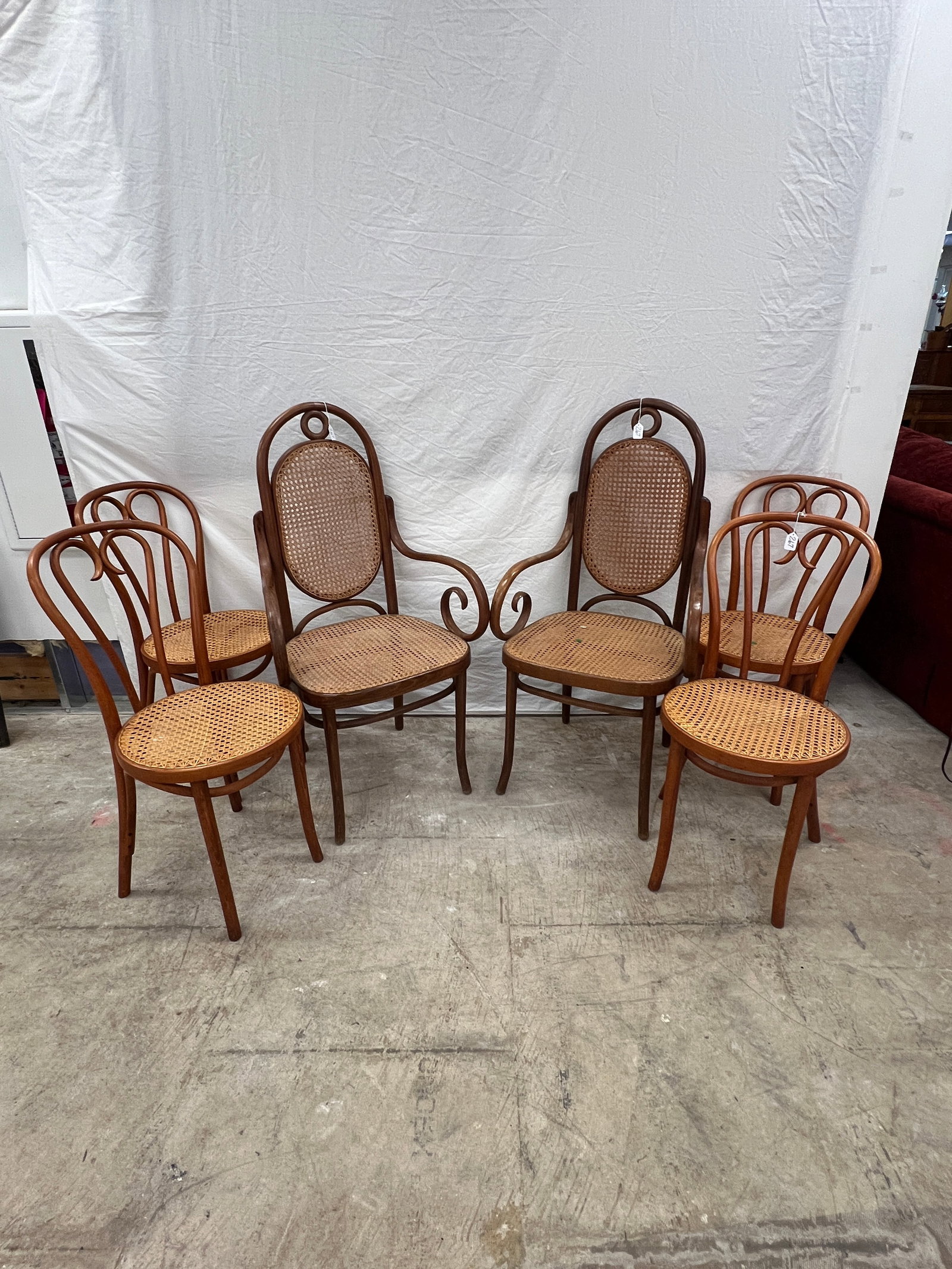 6 Thonet-Style Chairs - 2
