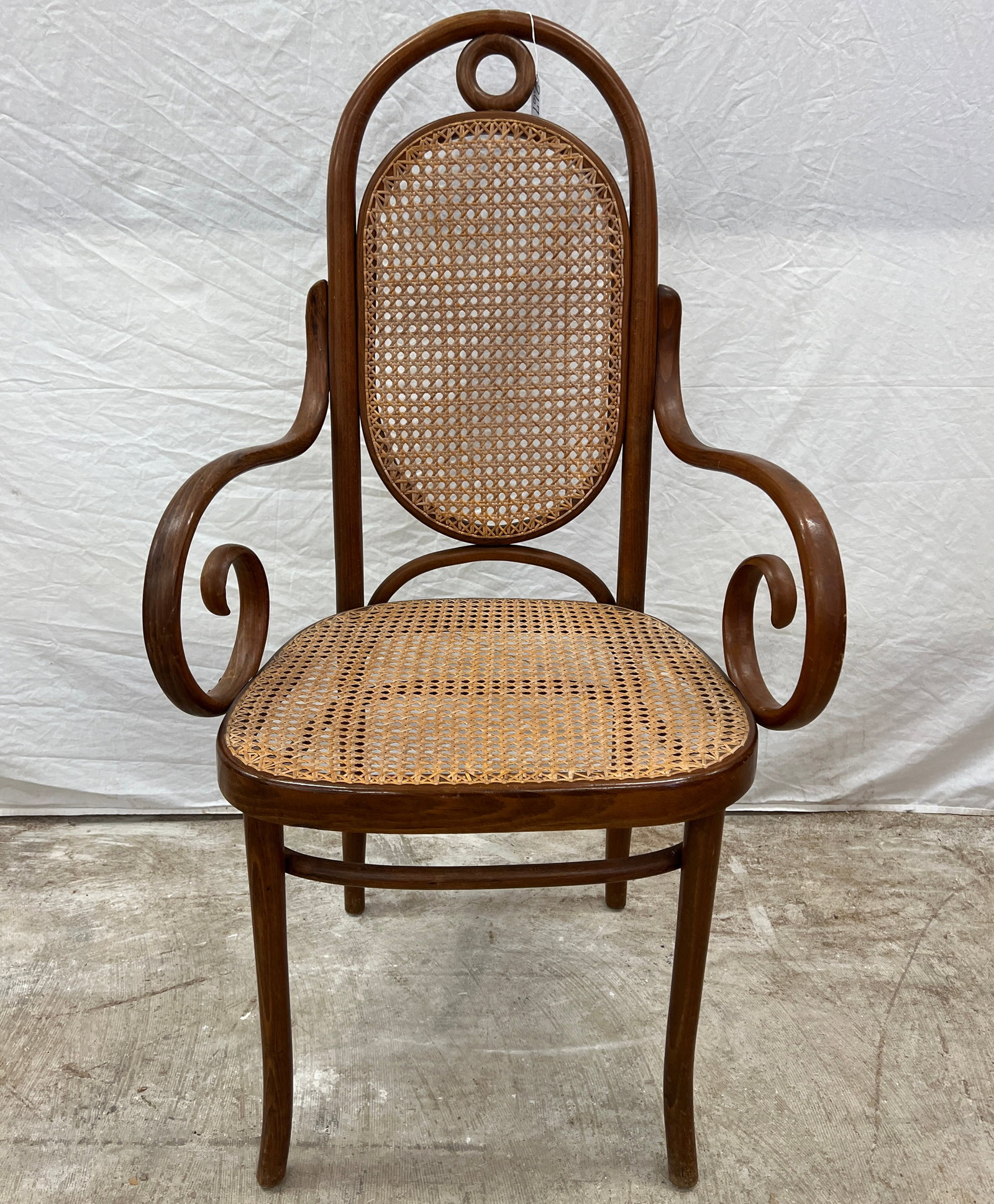 6 Thonet-Style Chairs - 4