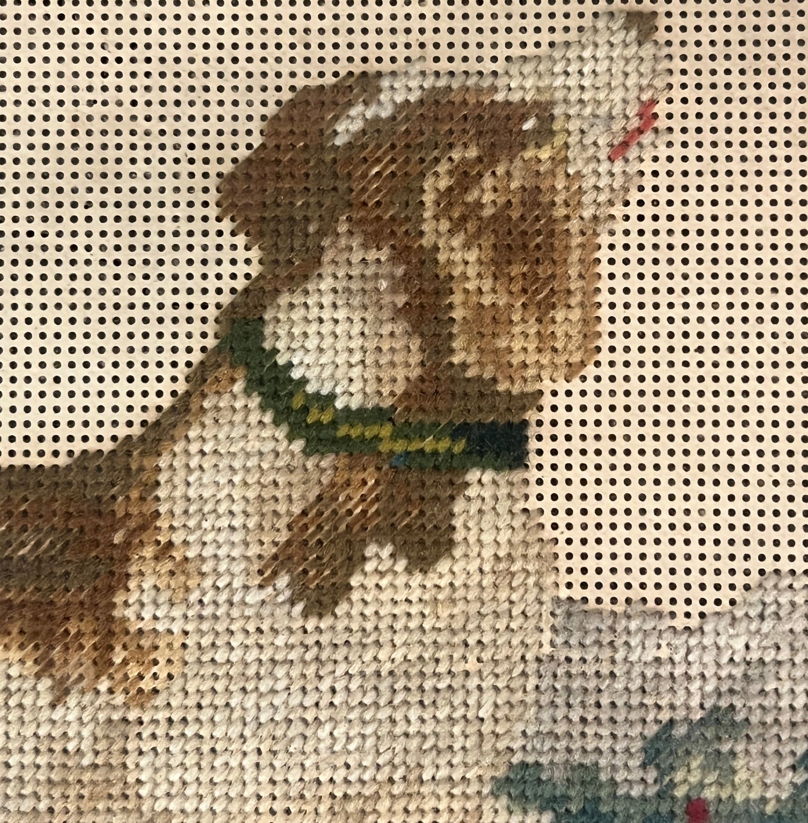 Berlin Woolwork Dog Needlepoint - 4