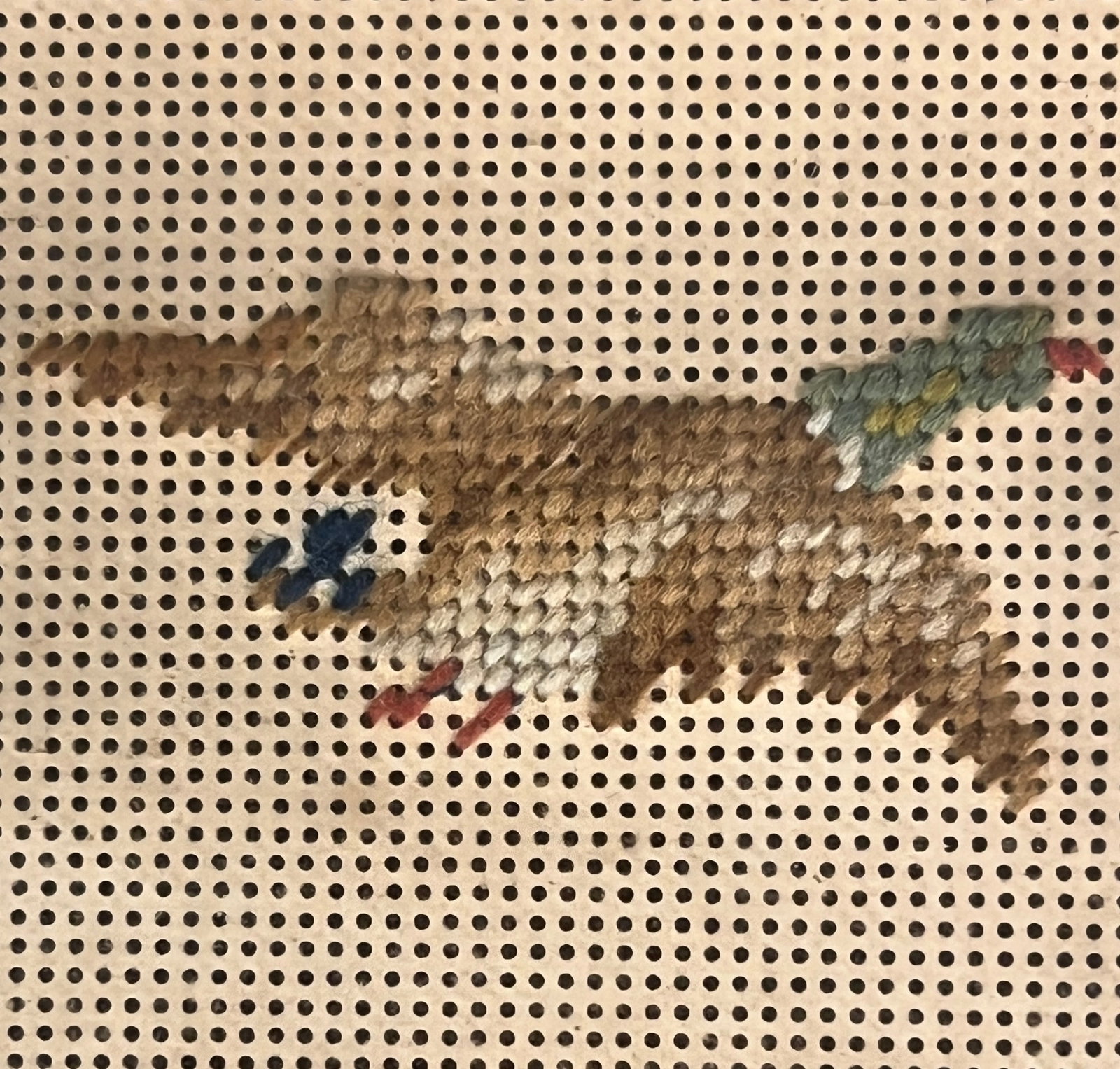 Berlin Woolwork Dog Needlepoint - 5