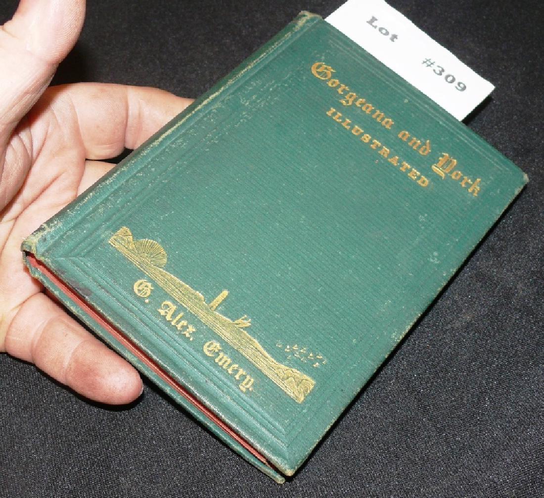 ANCIENT CITY OF GEORGEANA AND MODERN TOWN OF YORK (1 of 10)