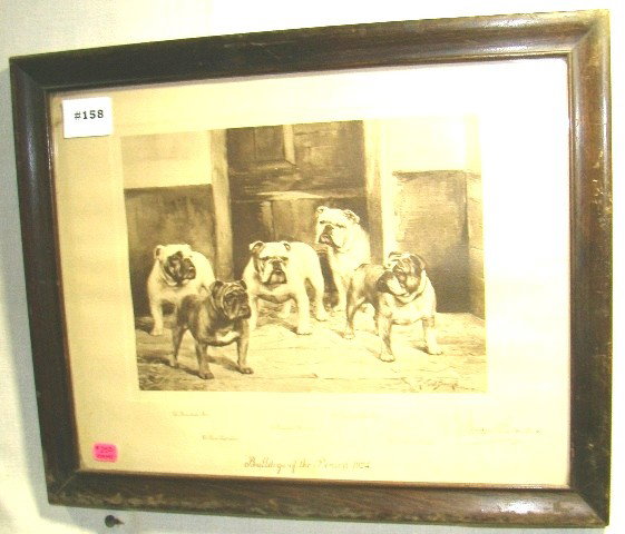 Rare "Bulldogs of the Period 1924" Champions print: Rare "Bulldogs of the Period 1924" Champions print, sgd. R Ward Binks, in a vintage oak frame, sight 11"x 13", Seidman cost $250.00, ca 1924, Cond.: VG, top left dirty