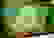 item-8193911=2